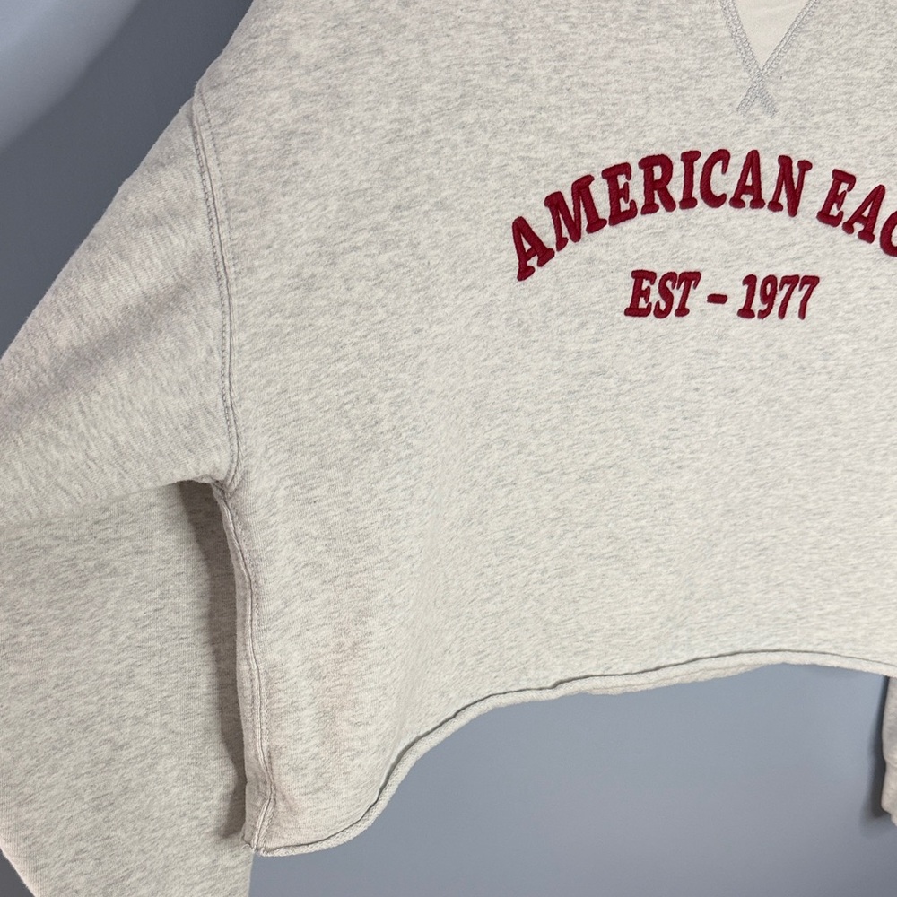American Eagle Outfitters Graphic Oversized Cropped Crewneck Sweatshirt M - Picture 9 of 10